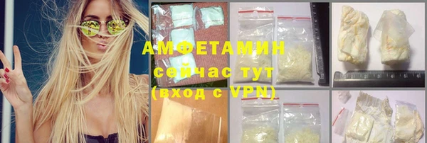 индика Белокуриха