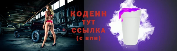 прущие грибы Михайловск