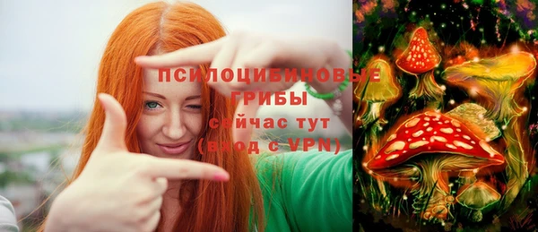 ешки Каменногорск