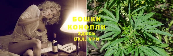 ешки Каменногорск