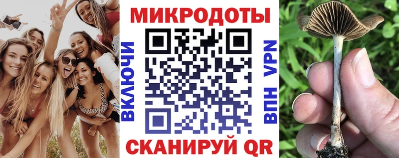 Галлюциногенные грибы Cubensis Южно-Сухокумск